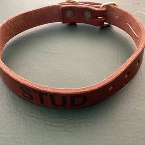 Leather Dog Collar